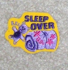 Girl Scout Badge / Patch You Pick: Digital Photographer, Jeweler, Camper Tea etc