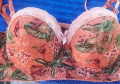 Black Fuchsia by Secret lace padded Bra 36 C Orange floral lace