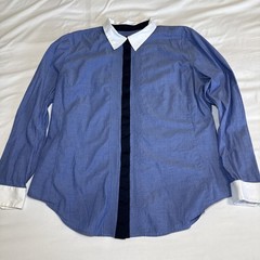 Ann Taylor Womens XL Blue Long Sleeve Hidden Button Pleated Blouse Career EUC