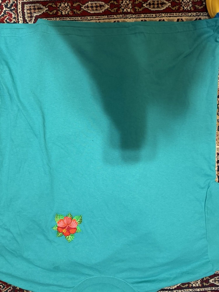 Hanes Heavyweight Blend Women’s 2XL Teal Fleece Pullover Floral Embroidered