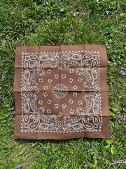 Cocoa Paisley Bandanna USA Made Approx 22×22 inch 100% Cotton Crafts and Fun