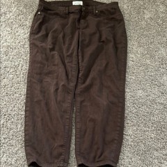 Lila Ryan size 32 brown pants pockets soft women’s