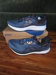 ASICS Ezeride 1011B788-400 Grand Shark Pure Bronze Mens 10 BNIB Rare Import