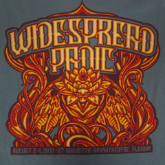 WIDESPREAD PANIC ST AUGUSTINE FL AUGUST 2019 BLUE MED T-SHIRT L712 (SPOT C PICS)