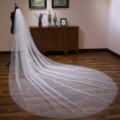 A-layer Female White Dragging Long Wedding Bridal Veil Photograph Glitter Veil