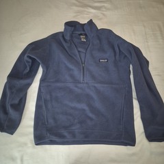 Patagonia Micro D 1/4 Zip Pullover Fleece Men S Blue Outdoors Nature Hiking Camp