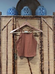 Earthbound Tank