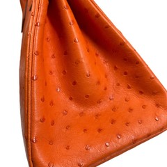 Hermes Birkin 30 93 Orange Ostrich (dh071926a1r)