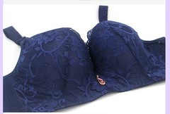 Bracelets For Women Push Up Bra Embroidery Underwear Full Coverage Plus Size