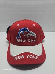New York Cap NEW Choose your favorite color.