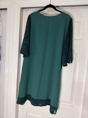 Ladies Tunic Style Dress, Sheer Sleeve with Floral Appliqué
