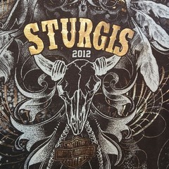 Sturgis Harley Davidson 2012 tank biker western boho cowgirl y2k festival
