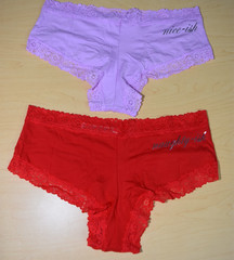 12 Victoria’s Secret PINK Cheeky Panties Lot L Large Multicolor