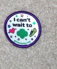 Girl Scout Badge / Patch You Pick: Digital Photographer, Jeweler, Camper Tea etc