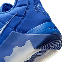 Nike Lebron Witness 9 Shoes Mens Game Royal Photo Blue White II7520 401
