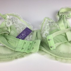 ALEGRO Sheer with Lace Underwire Sexy Lingerie Bra – Lime 9003 – NWT 30-40