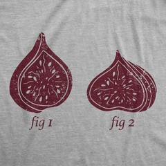 Mens Funny T Shirts Fig 1 Fig 2 Sarcastic Graphic Novelty Tee for Men