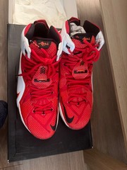 Size 11 – Nike LeBron 12 Heart Of A Lion
