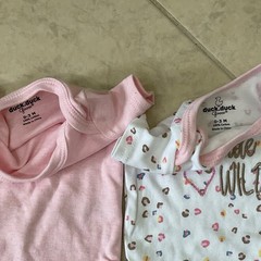 NWT Duck Duck Goose Baby Clothes Bundle of 2 pieces size 0-3 Months SNAP closure