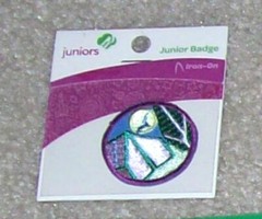 Girl Scout Badge / Patch You Pick: Digital Photographer, Jeweler, Camper Tea etc