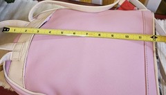 SprayGround Sutton Money Hustle Back Pack Pink Limited Edition Rare Pre-owned