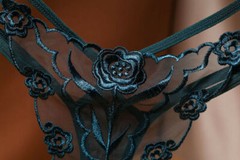 Sexy Womens Lace Panties Underwear Thongs Lingerie G-string Floral Briefs Bikini
