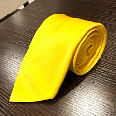 Brioni Men’s Yellow Solid Silk Tie Necktie