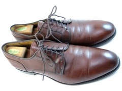 Allen Edmonds “WINDSOR” Men’s Plain-toe Leather Derby 14 D Chili USA (490N)