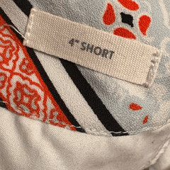 LOFT Light Blue Red Vertical Stripe Chino Shorts 10 Retro Chic Preppy Artsy