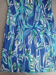 Lilly Pulitzer Dress 2 Penelope Shift Cottage Resort Beach Cruise Gold Zip