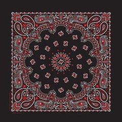 Hav-A-Hank USA Made Cotton Paisley Bandanna 22″X22″ Black / White / Red