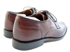 Allen Edmonds “WINDSOR” Men’s Plain-toe Leather Derby 9 D Chili USA (493N)