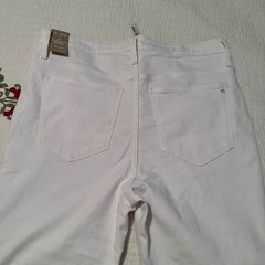 Madewell Plus High-Rise Skinny Jeans in Pure White 16w