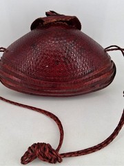 Vintage 1940s Armadillo Taxidermy Purse Leather Braided Strap Red Lining