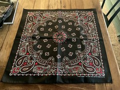 Hav-A-Hank USA Made Cotton Paisley Bandanna 22″X22″ Black / White / Red