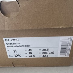 ASICS GT-2160 Sneakers Men’s Size 11 White/Graphite Grey 1203A275-115