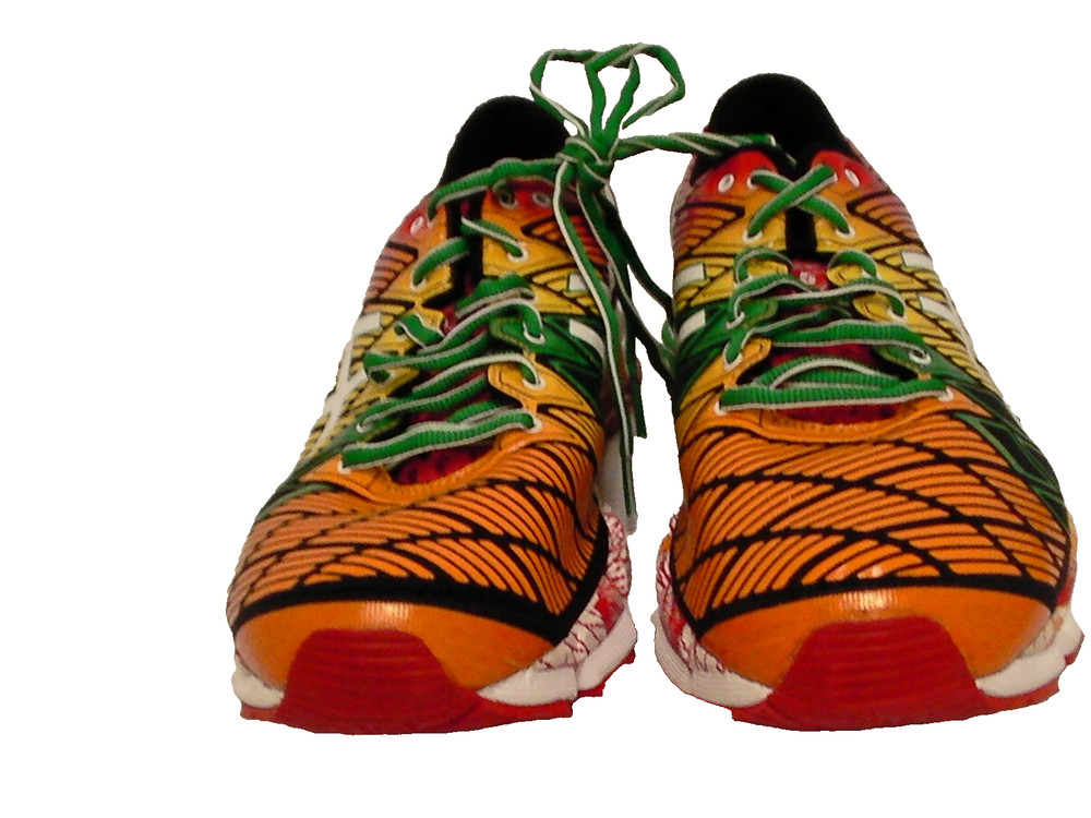 Men’s Asics running shoes GEL-KINSEI 5 multi color size 10.5 us