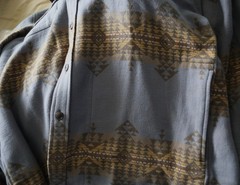 NEW Pendleton Chamois Cotton doublesoft Shirt men L NWT