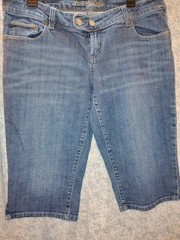 American Eagle Outfitters size 14 women’s Artist capris