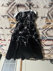 Windsor Black Dress Sleeveless Mesh