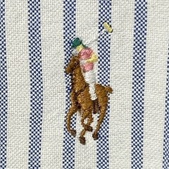 Polo Ralph Lauren Mens XL Custom Fit Blue White Striped Oxford Button Down Shirt