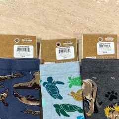 3 pair of TCK Lions, Sea Lions and Turtle Crew Socks NWT Size M