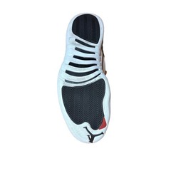 Size 12 Jordan 12 Retro Playoffs (2022)