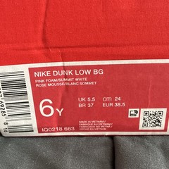Nike Dunk Low BG Pink Foam/Summit White Leather Kids US 6Y IQ0218-663
