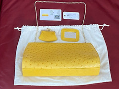 $1150 Cape Cobra ANNE CLUTCH IN OSTRICH | ** RARE ** Sun Yellow | 3″×10.6″×5.5″