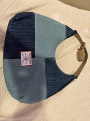 True Religion Women’s Medium Crescent Hobo Bag Blue Logo Zip, Brown Strap