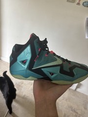 Nike LeBron 11 south beach