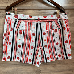 LOFT Light Blue Red Vertical Stripe Chino Shorts 10 Retro Chic Preppy Artsy