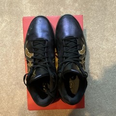 Nike Zoom Kobe 5 Protro Year of the Mamba Eggplant/Black/Gold IB4481-500