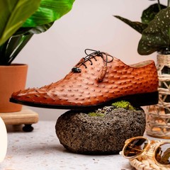 Criss Genuine Ostrich Quill Dress Oxford Shoes Brandy